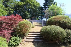 Photo 12- click for photo gallery